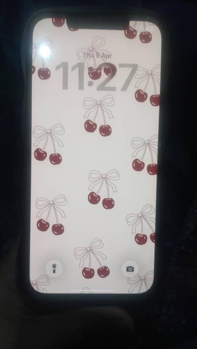 iphone 12 pro max non pta jv