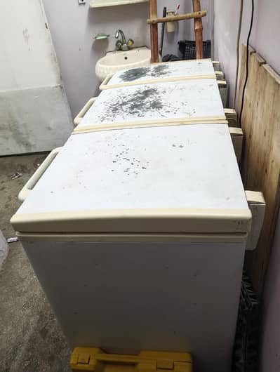 D . frezar ha cundetion 75. %