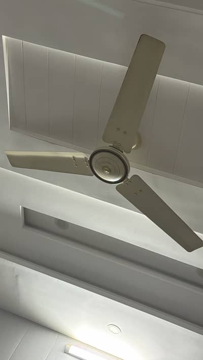 Celing fan