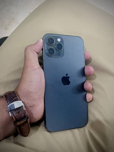 12 pro max Back camera not work