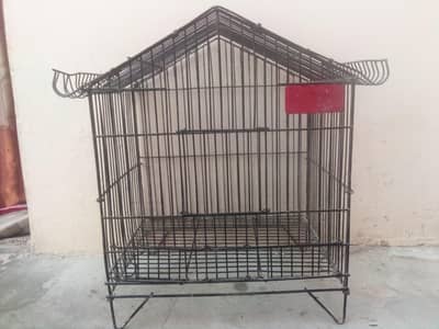 Birds Cage