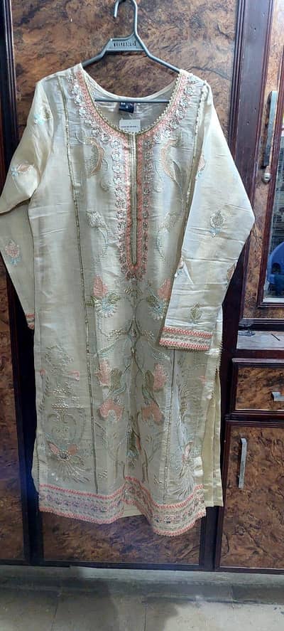 Soft Organza Fancy dresss