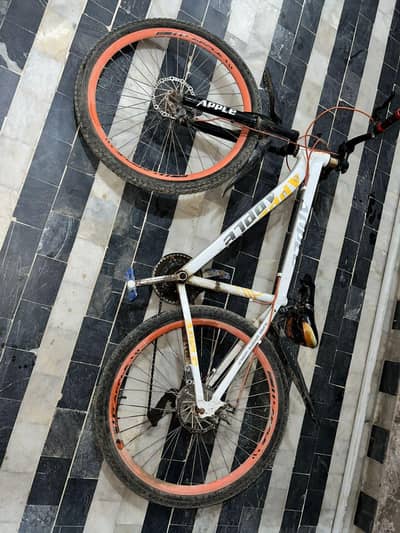 apple imported cycle medium size