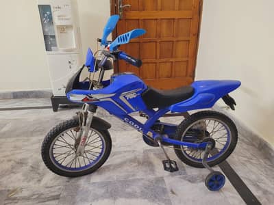 bicycle looks like a bike