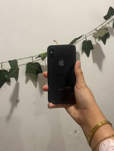 iphone x camera quality great