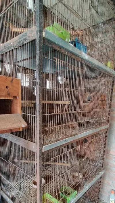 Used cage 1.5 by 1.5  4 portion and 8 khane