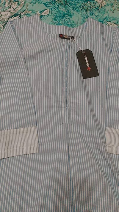 Blue lining krta n trouser