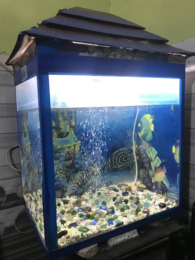 AQUARIUMS FULL SETUP