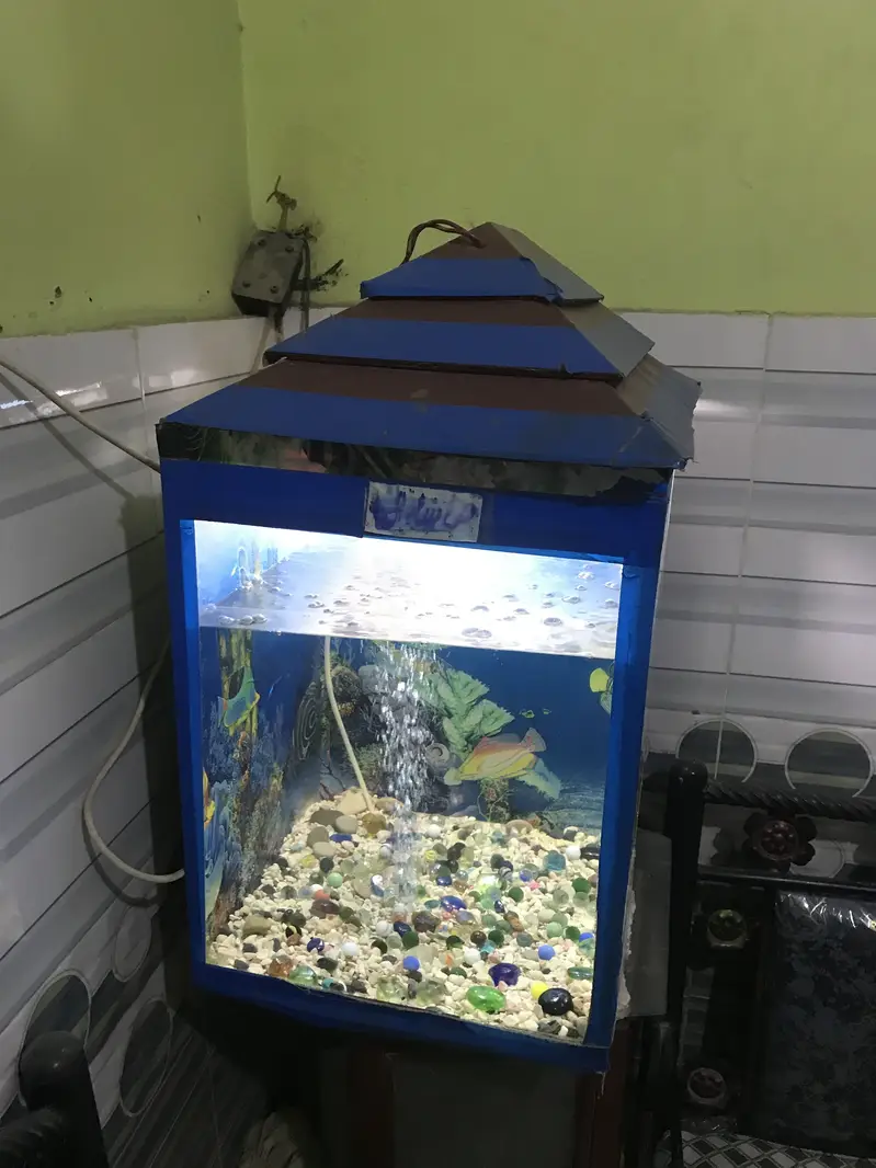 AQUARIUMS FULL SETUP — photo 2