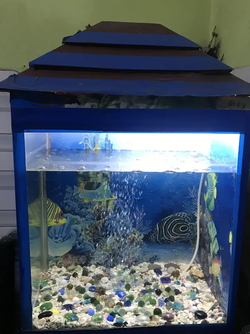 AQUARIUMS FULL SETUP — photo 3