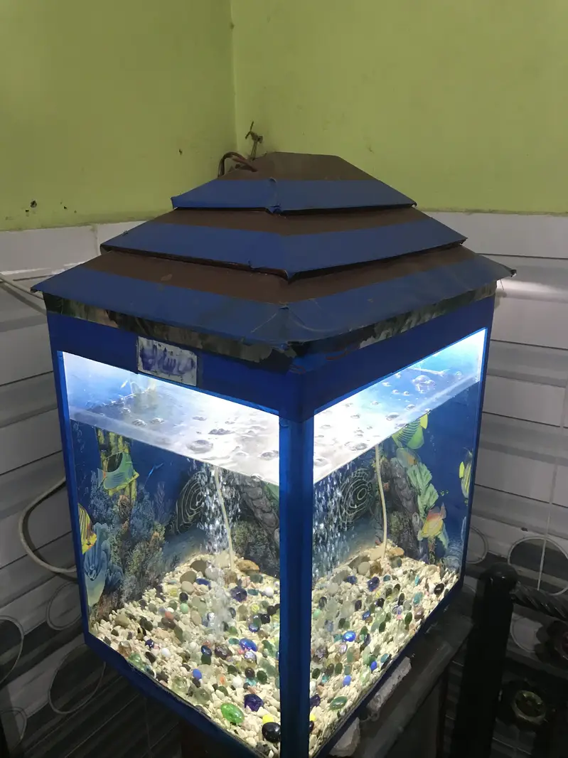 AQUARIUMS FULL SETUP — photo 4