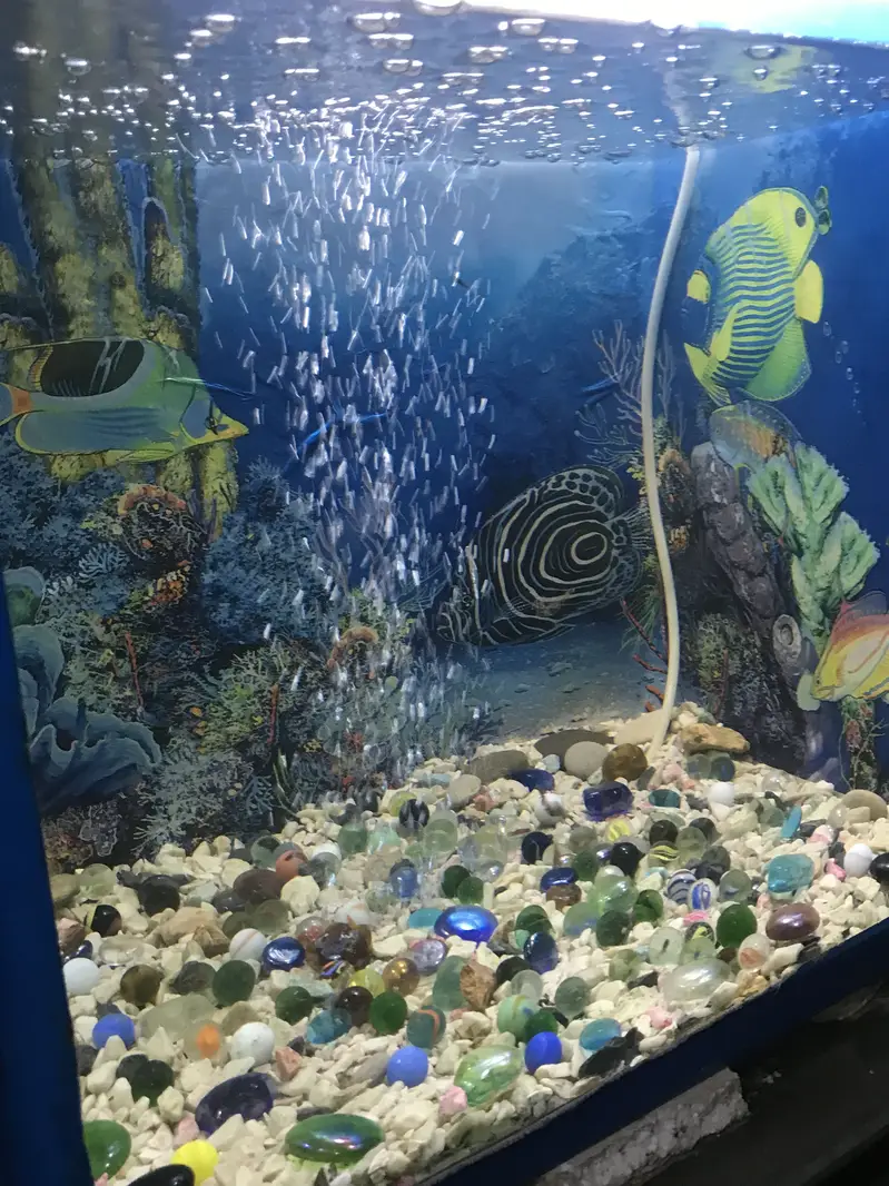 AQUARIUMS FULL SETUP — photo 5