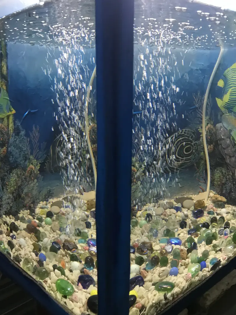 AQUARIUMS FULL SETUP — photo 6