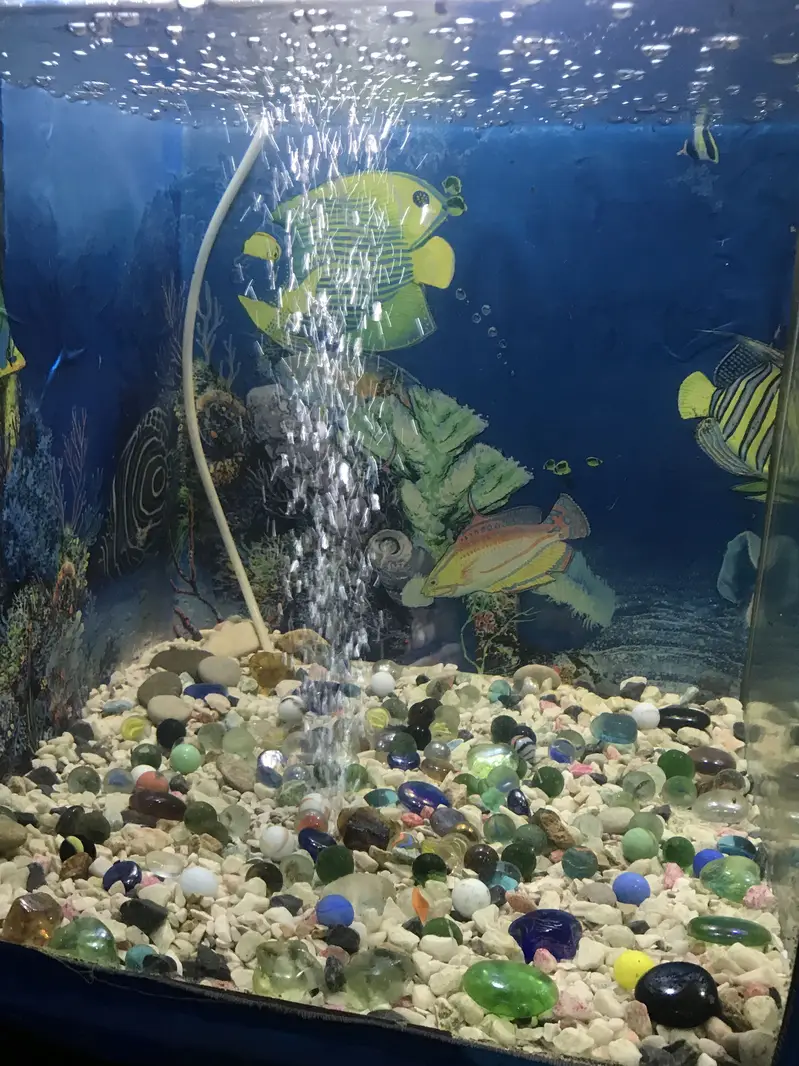 AQUARIUMS FULL SETUP — photo 7