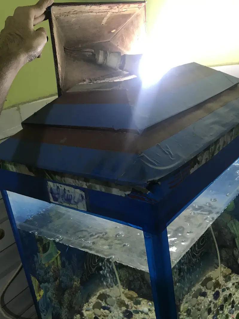 AQUARIUMS FULL SETUP — photo 8