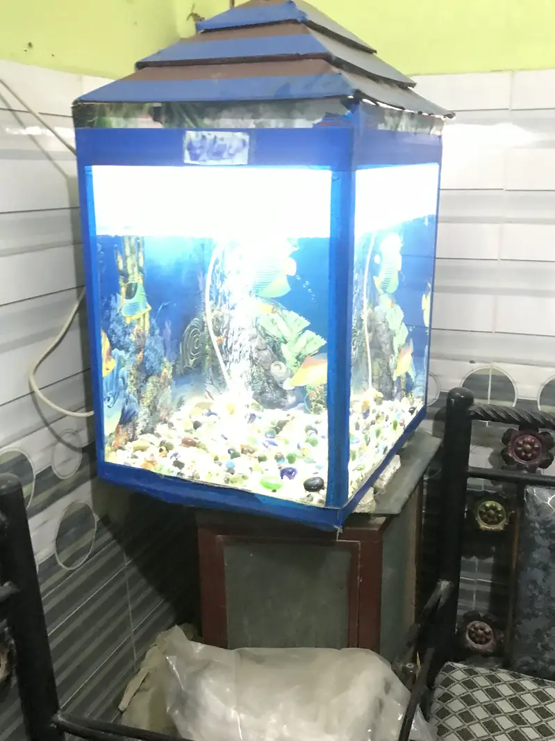 AQUARIUMS FULL SETUP — photo 9