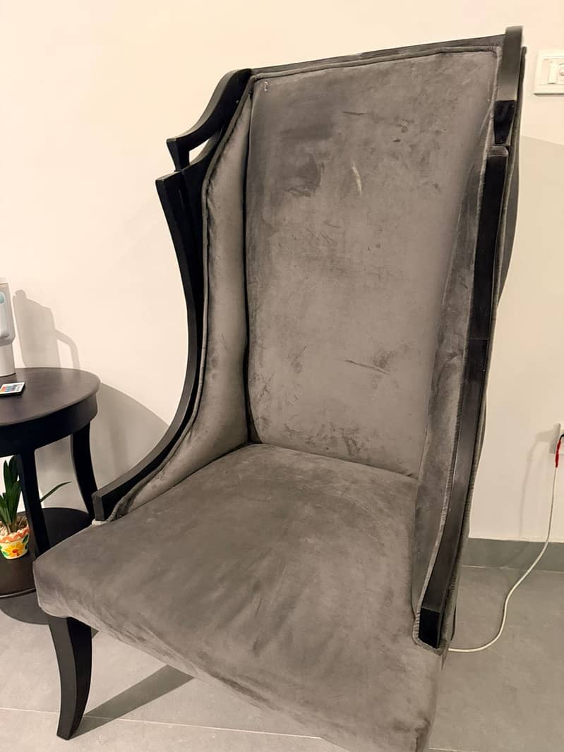 2 Sofas with center Table 2