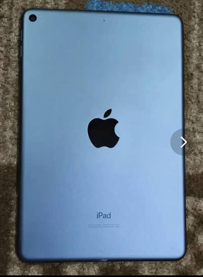 iPad mini 5 ( black colour )