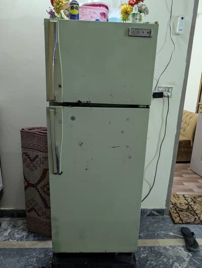 Japanese Singer Refrigerator