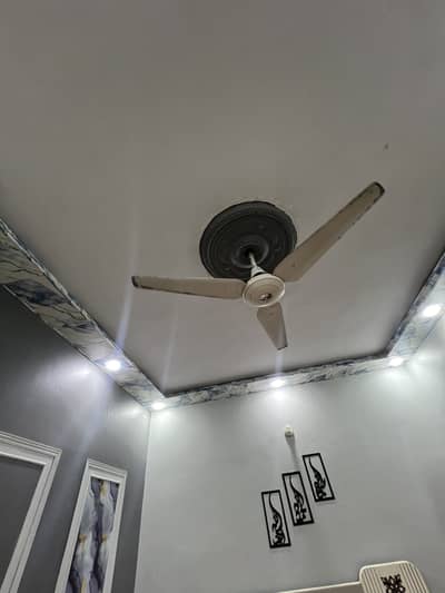 Ceiling fan