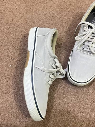 Original shoe (minor hole)