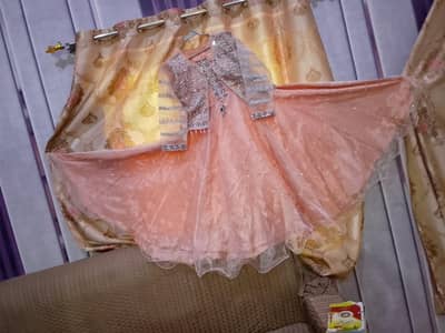 4  fancy and one lawn