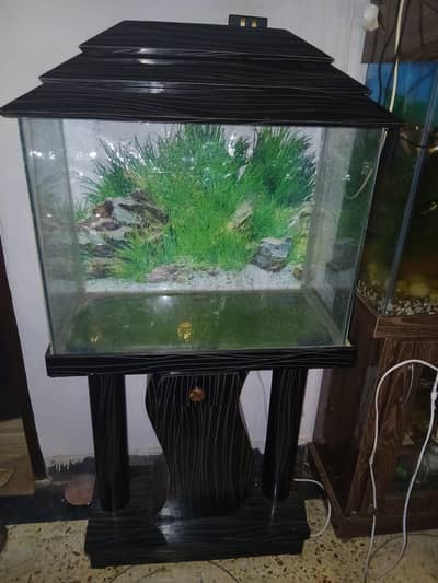 Standard Size Aquarium Available For Sale In Karachi