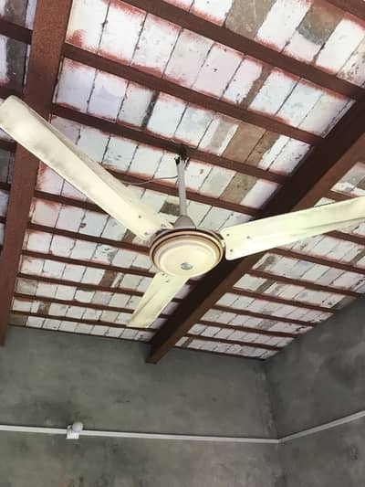 Ceiling fan chat wala fan for sale