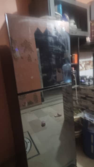 Pel glass door fridge