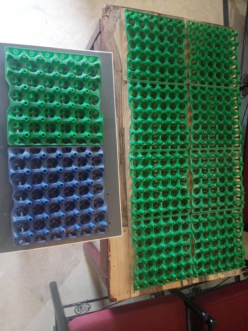Egg Trays Plastic 0