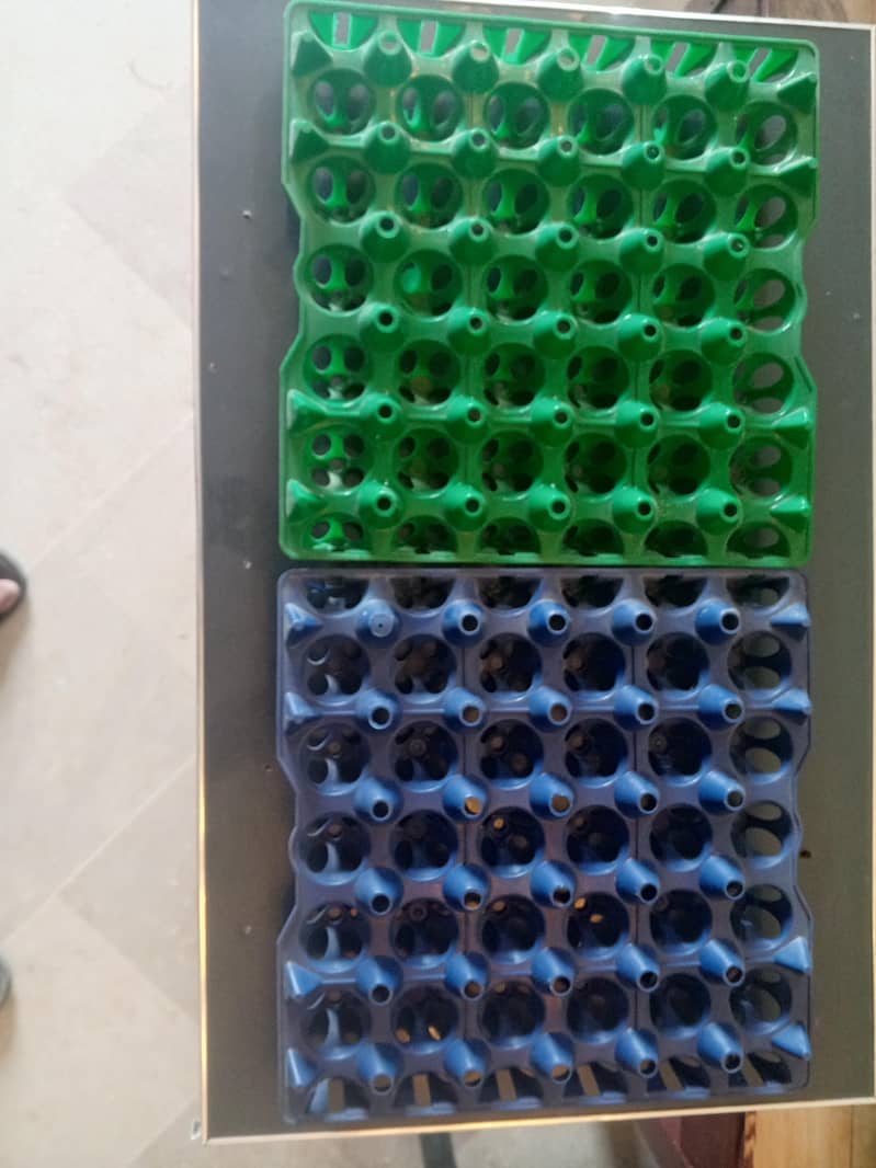 Egg Trays Plastic 1