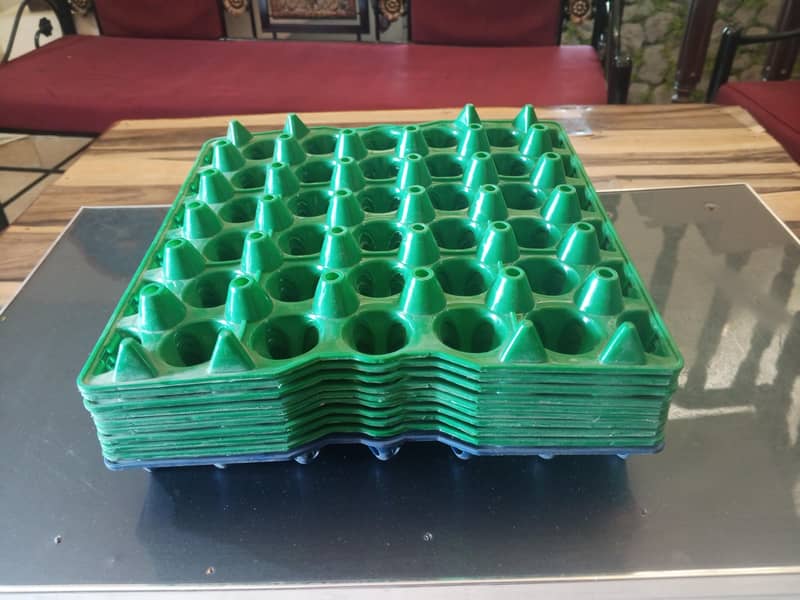 Egg Trays Plastic 2
