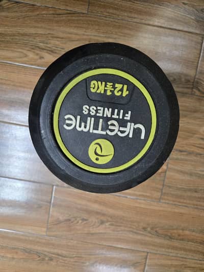 12 kg single piece dumbell