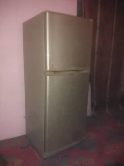 Fridge medium size