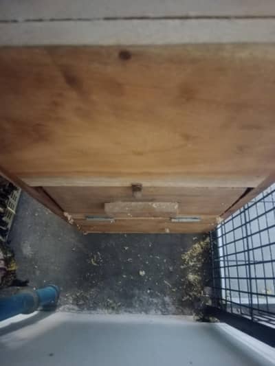 Heavy Cage  and Breeding Box