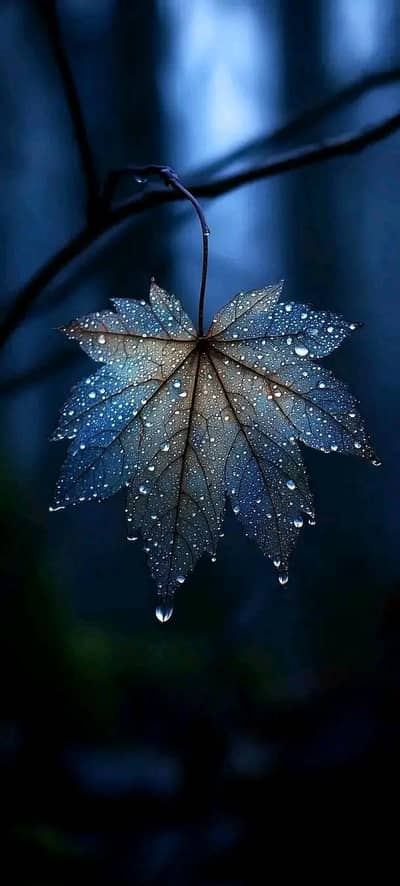 hp zbook 15 G8  workstation