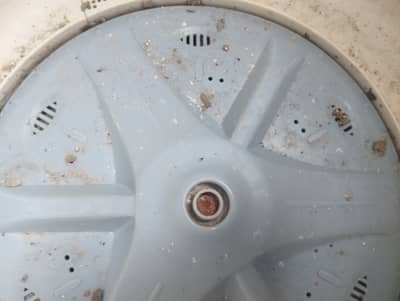 Washing and dryer (only motors )