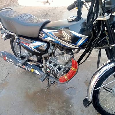Honda 125 total genuine 2025