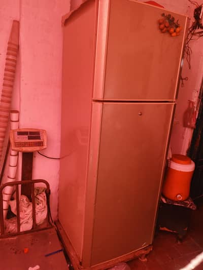 Pel Jumbo size Refrigerator