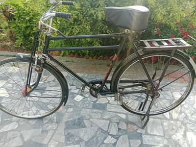 sohrab cycle 24 inch