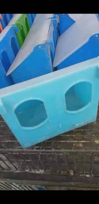 pigeons two hole feeder and drinkers