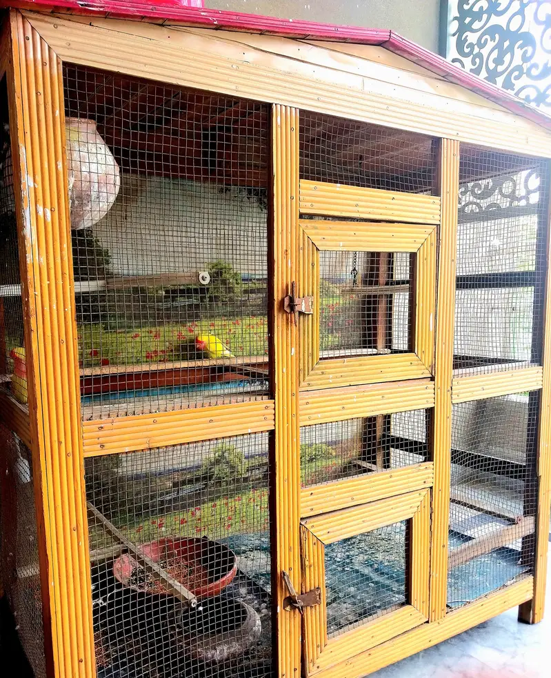 Wooden cage for pets,animals,parrots,hens,cats,dogs