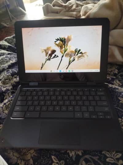 hp chromebook