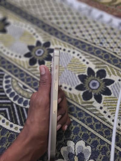 12 pro max pta approve physical +esim 256 gb battery 79 conditio 10/10