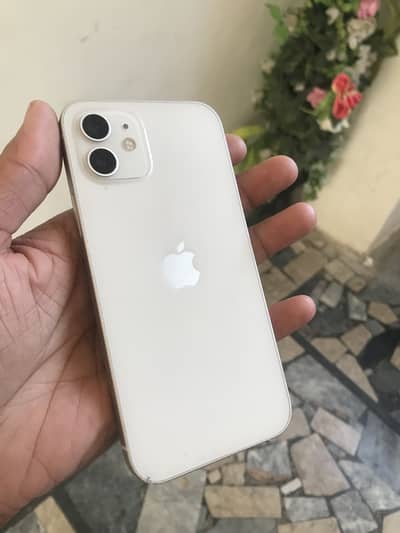 Iphone 12 dual PTA Approved  128 Gb new condition