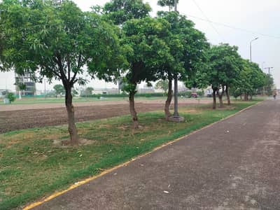 5 Marla Plot For Sale In B-Block Khayaban E Amin Society