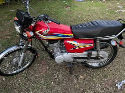 In genuine condition