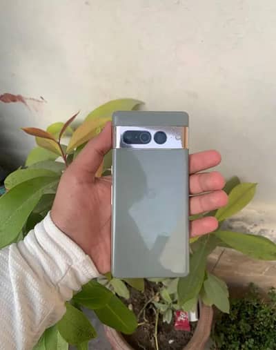 Google pixel 7 pro dotted exchange