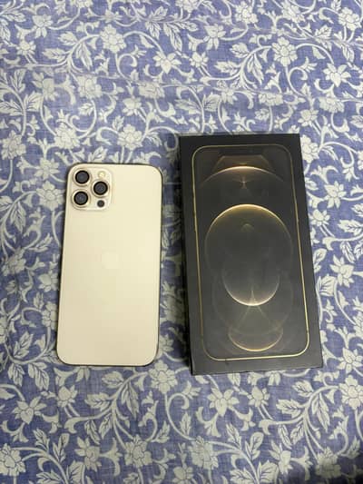 Iphone 12 pro max pta approved