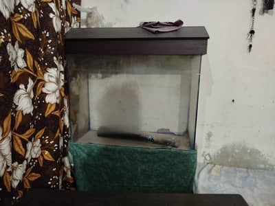 2.5 fit only glass and hood